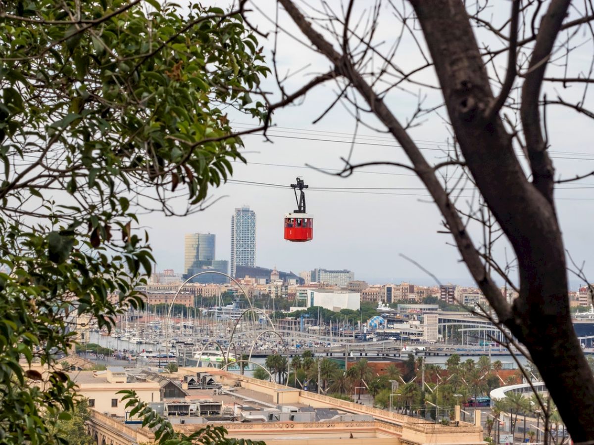 A red cable car is moving above a cityscape with tall buildings and waterfront, viewed through tree branches in the foreground.